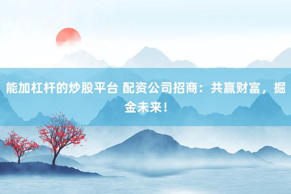 能加杠杆的炒股平台 配资公司招商：共赢财富，掘金未来！