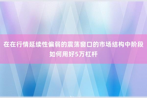 在在行情延续性偏弱的震荡窗口的市场结构中阶段如何用好5万杠杆