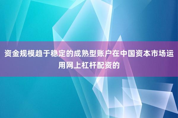 资金规模趋于稳定的成熟型账户在中国资本市场运用网上杠杆配资的