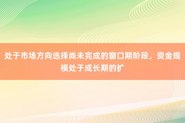 处于市场方向选择尚未完成的窗口期阶段，资金规模处于成长期的扩
