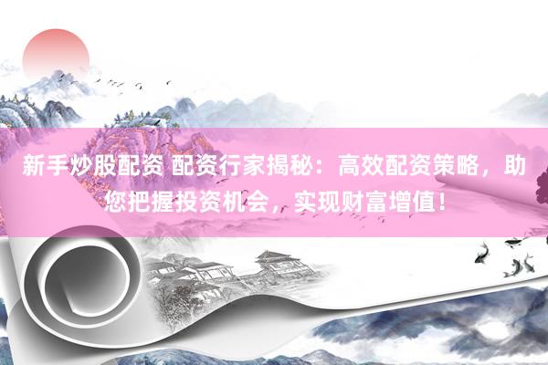 新手炒股配资 配资行家揭秘:高效配资策略,助您把握投资机会,实现财富增值!